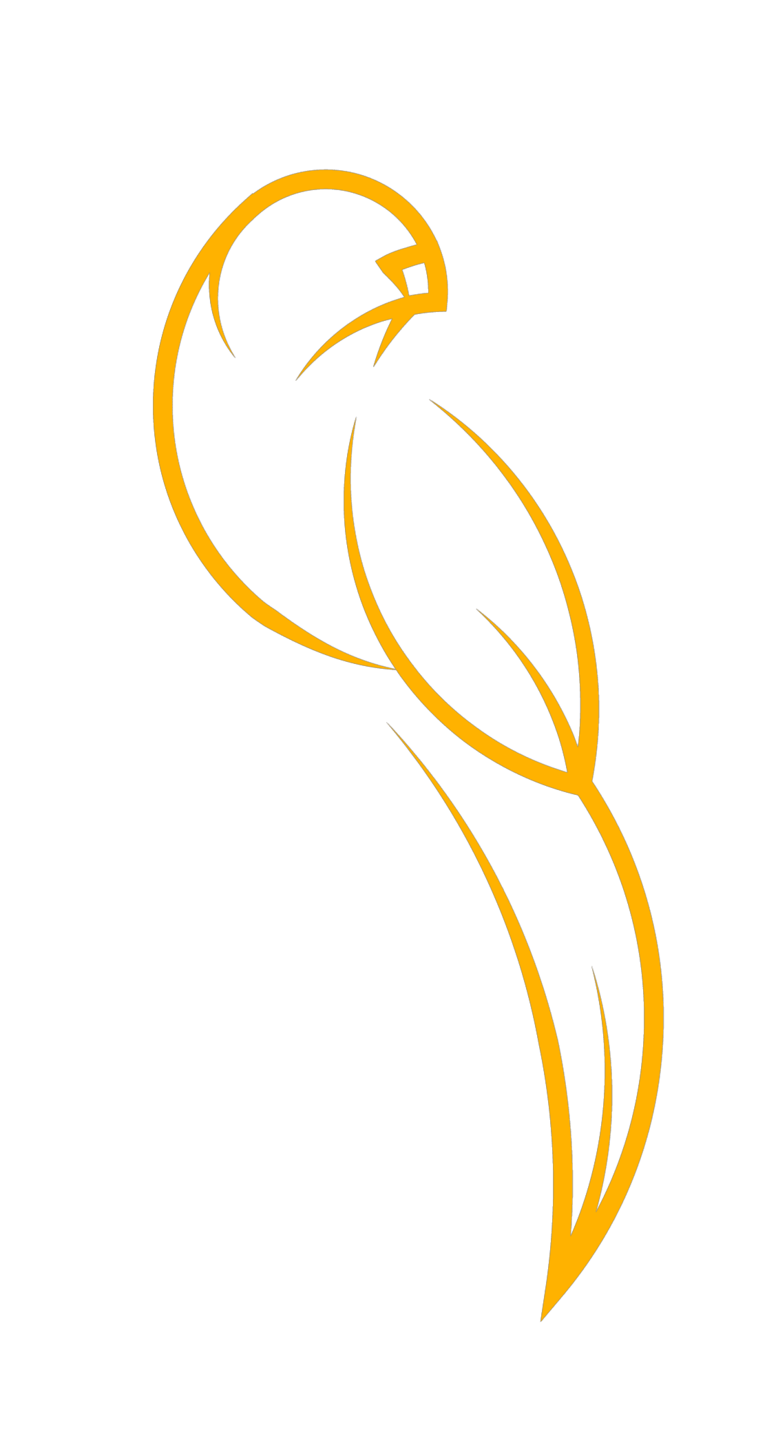Yellow outline of a rosella bird